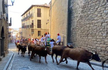 Maravillosa casa con piscina en un pueblo único, Artajona - Navarra - Foto 49