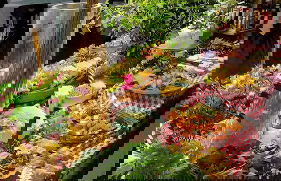 Hotel Fazenda Villa-Forte - Foto 52