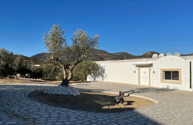 Villa in the Mountains Hammamet - Foto 49