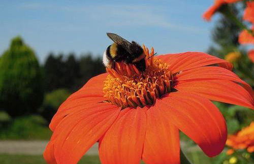 Ferienwohnung Katzheim - Photo 8