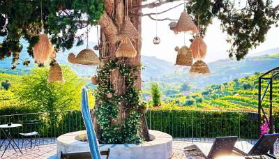 Quinta da Salada - Turismo Rural - Photo 5, Garden