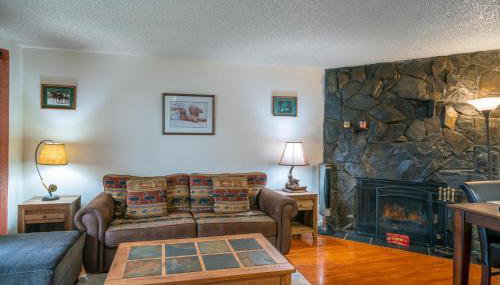 Polar Bear Den - Photo 3