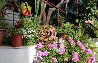 Apartments by the sea Viganj, Peljesac - 10140 - Foto 7