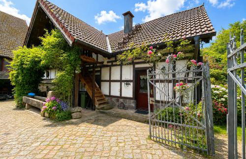 Ins Scholze große und kleine Ferienwohnungen in Albersbach - Foto 16