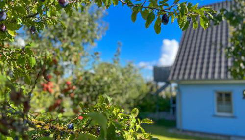 Holiday Home Blu Hus - Foto 5