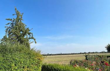 Ferienbungalow Zum Anleger 3 - Foto 12