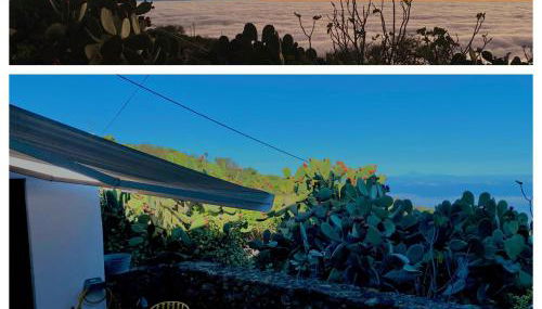 La Cuadra de Pascuala - Foto 5