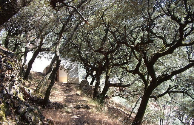 Las Casitas del Bodegon - Photo 31