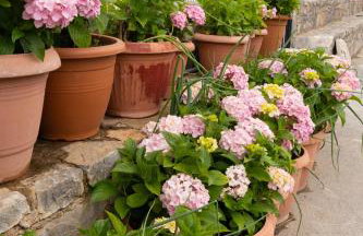 Dictamus Homes - Foto 55