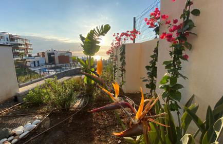 Blue Lady by the Sea - Photo 48