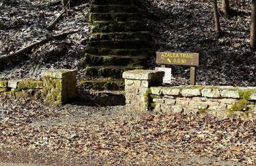 Park Ave Laurel Cove, Bell Theatre, ARH, Corbin Arena, & LMU - Foto 7