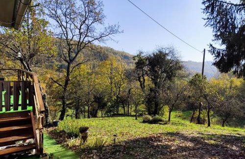 UNDER THE GREEN ROOF - Foto 41