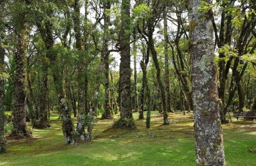 Luxuoso Flat no Laje de Pedra -Mountain Village - Foto 33