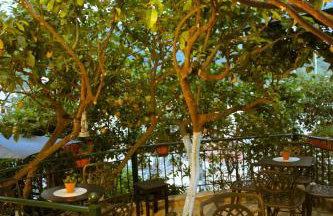 Marthas Studios - Foto 35