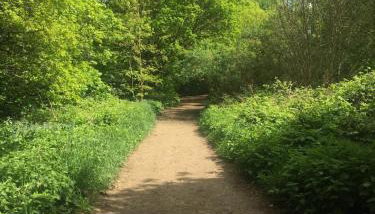 The Studio - Photo 2