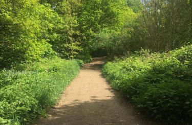 The Studio - Photo 2