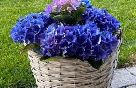 Villa Melanie - Photo 31