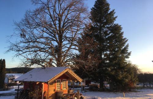 Ferienwohnung Schwarzwaldgrün - Foto 21