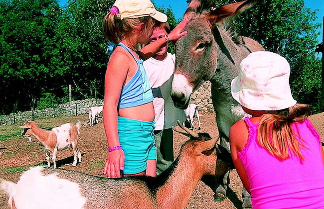 VVF Haute Loire Haute Ardèche, Tence - Photo 25