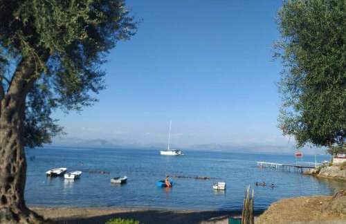 Notoshouse - Foto 10