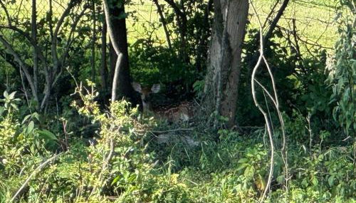 Luxury Home 4B, 3B Sleeps 18 25min to Nashville - Foto 2