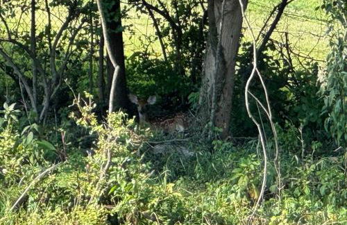 Luxury Home 4B, 3B Sleeps 18 25min to Nashville - Foto 2