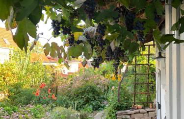 Ferienhaus unterm Schiefen Turm - Photo 16