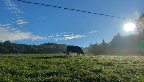 Ferienwohnung Andre - Foto 4