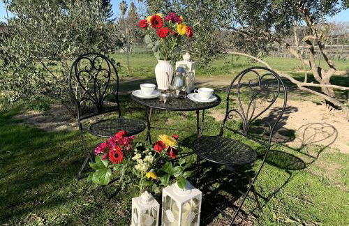 Cozy Rustic Cabin on a Working Horse Ranch for a Unique Getaway in Granite Bay, California - Foto 14