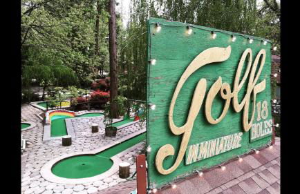 Read Haven 3 Bedroom, 1.5 Bath - Photo 14