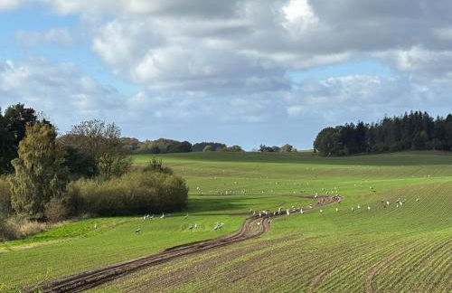 Hof Rabenstein Ostsee bei Kühlungsborn - Foto 30