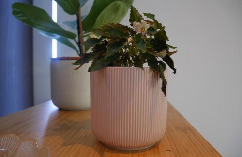 Le Marceau - Terrasse plein sud - Foto 8