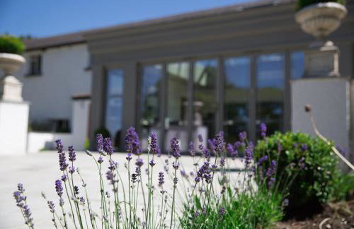 Llechwen Hall - Foto 15