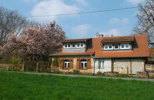 Ferienhaus mit Garten im Odenwald zu vermieten - Foto 1