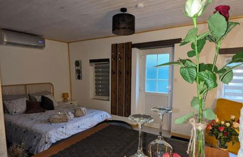 maison avec jaccuzi privatif - Foto 6