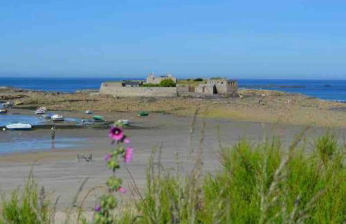 Le Calypso, studio avec terrasse à 50m de la mer ! - Foto 16