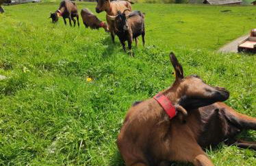 Le Week-End 3 étoiles, plein centre ville - Foto 8