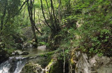 Agriturismo Revena - Foto 35