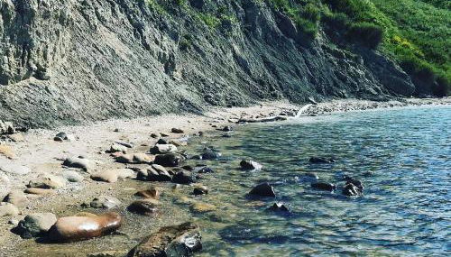 Residence Meeting - Foto 2