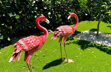 Pura Vida Villa - Foto 17