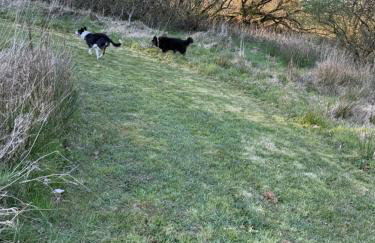 Torwood 6 - Photo 13