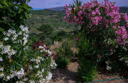 Bosque da Fantasia - Foto 15