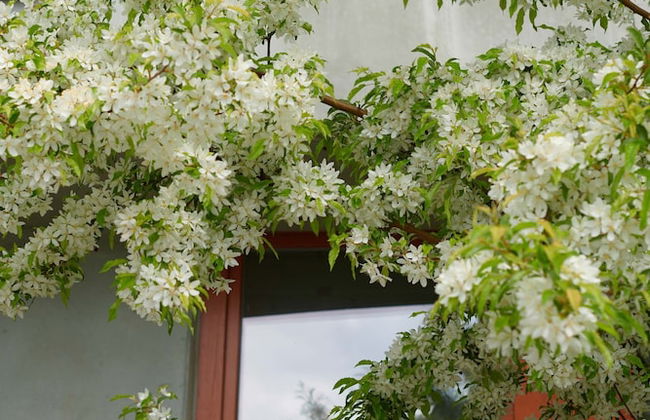 Ohboy Hotell - Foto 32