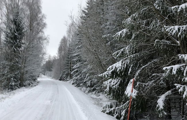 Tiny hut in the Forest Overlooking the River - Photo 14