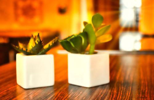 Ferienwohnung zur Steinklamm im bayrischen Wald - Foto 25