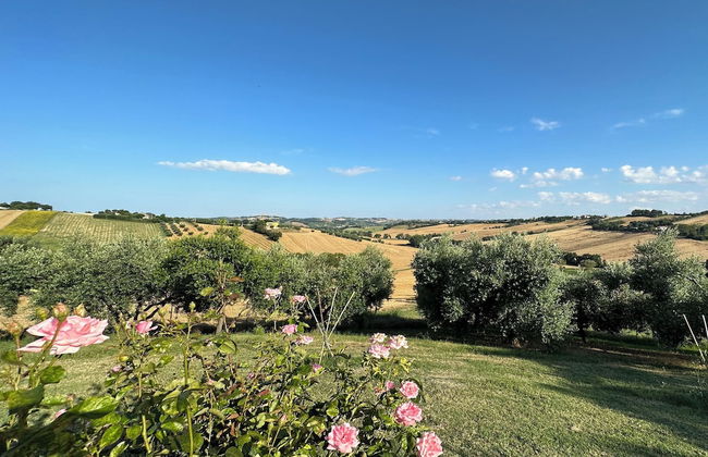 Ancient Country House With Swimming Pool - Foto 34