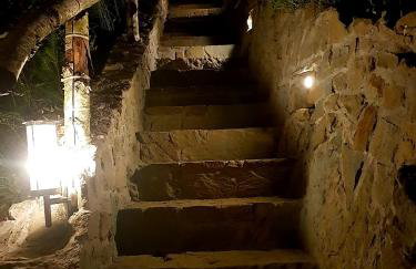 Alpakowy raj - Foto 59