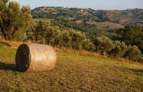 Casa Pace e Gioia - Foto 44