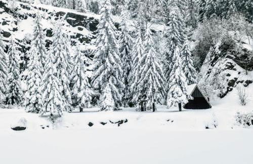 Gemütliches Blockhaus am Wald mit großem Garten - Foto 18