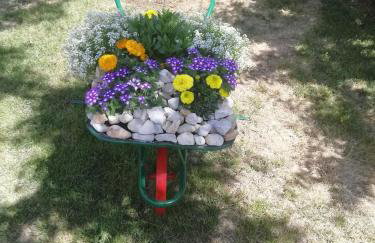 Nikini dvori - Foto 8